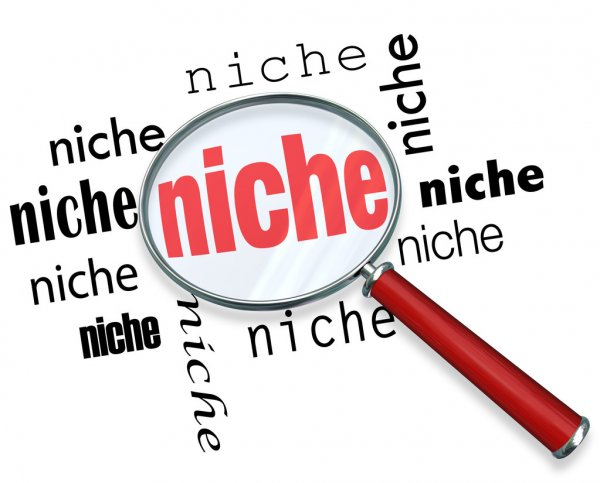 find a niche